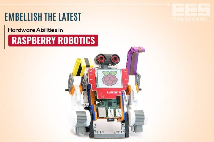 Raspberry Pi Robot Kits
