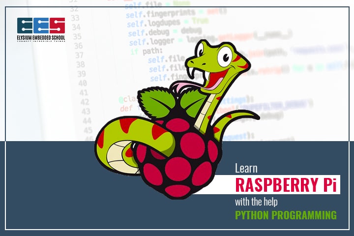 Learn Raspberry Pi Programming With Python