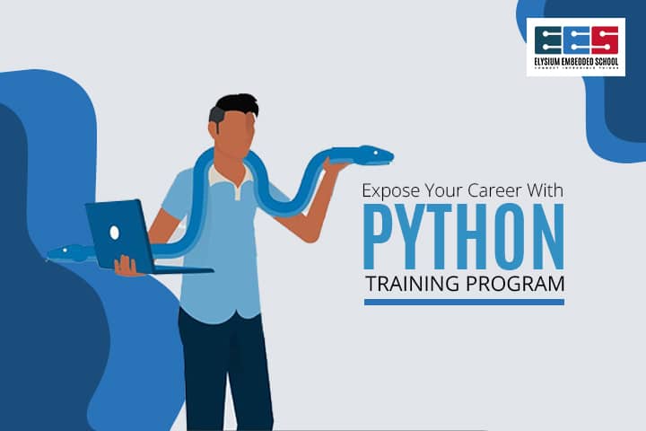 Python Job Profiles
