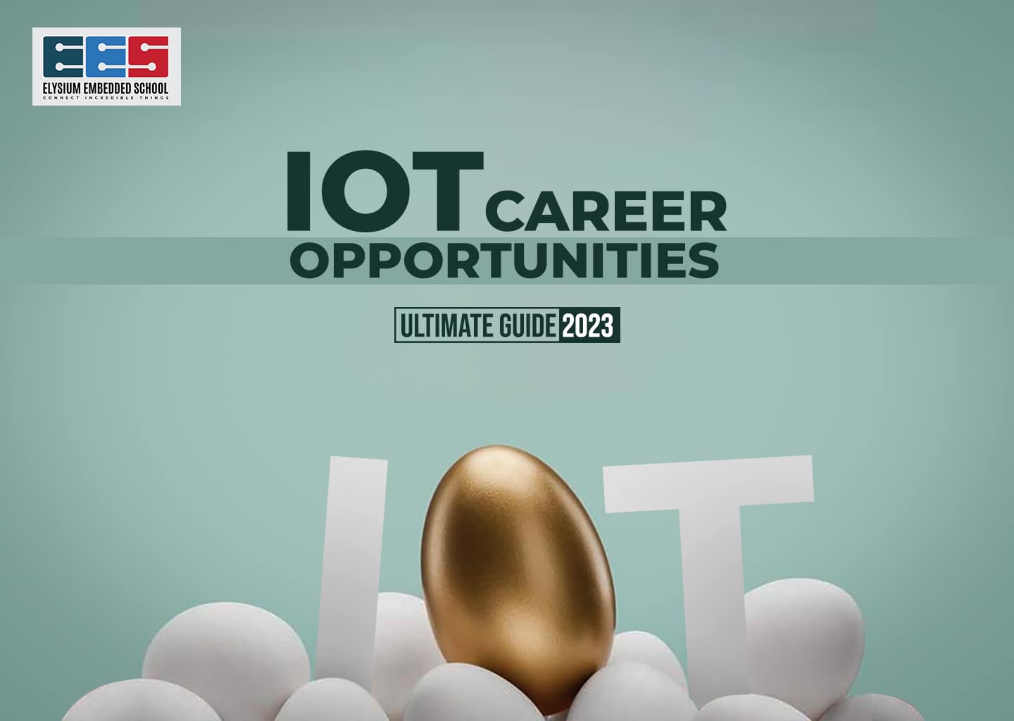 Iot Career Opportunities