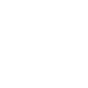 robotic